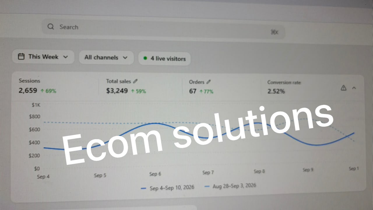 this week store performance snapshot